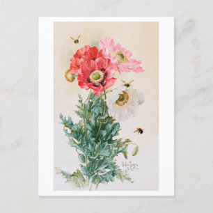 Mohnblumen und Bienen Gemälde Vintage Postkarte
