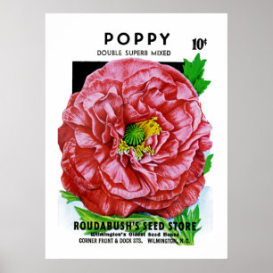 Mohnblumen-Vintages Samen-Paket Poster