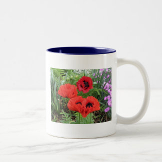 MOHNBLUMEN! ZWEIFARBIGE TASSE