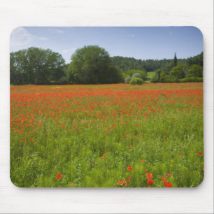 Mohnblumenfeld, Chiusi, Italien Mousepad