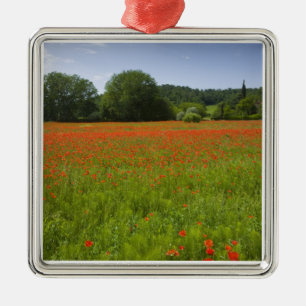 Mohnblumenfeld, Chiusi, Italien Silbernes Ornament