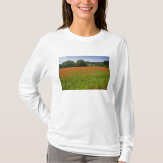 Mohnblumenfeld, Chiusi, Italien T-Shirt