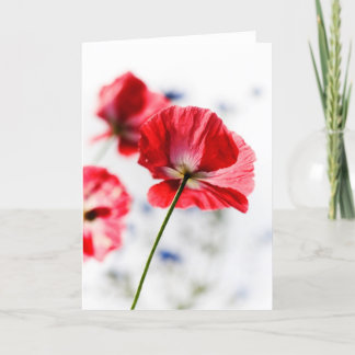 Mohnblumenkarte Karte