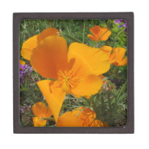 Mohnblumetrinket-Geschenkboxen Kaliforniens