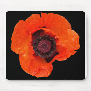 Mohnblüte nach dem Regen Mousepad