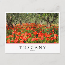 Mohnblütenbäume in der Toskana, Italien Postkarte