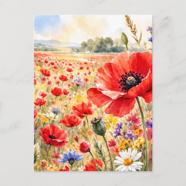 Mohnfeld - Aquarell-Mohn Postkarte (Vorderseite)