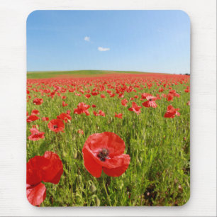 Mohnfeld - Atemberaubend! Mousepad