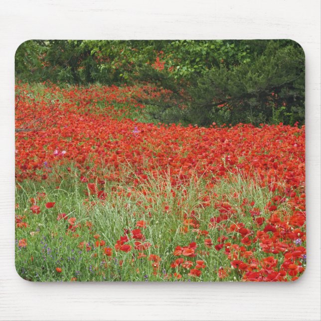 Mohnfeld entlang der Blume Mousepad (Vorne)