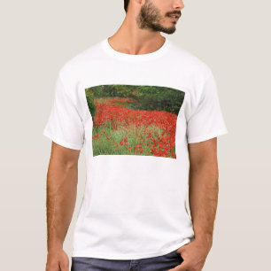 Mohnfeld entlang der Blume T-Shirt