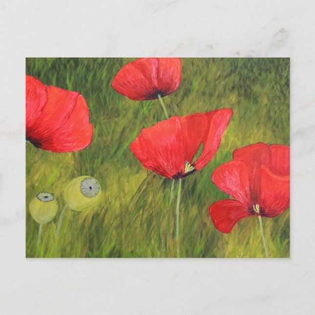 Mohnfeld Postkarte (Vorderseite)