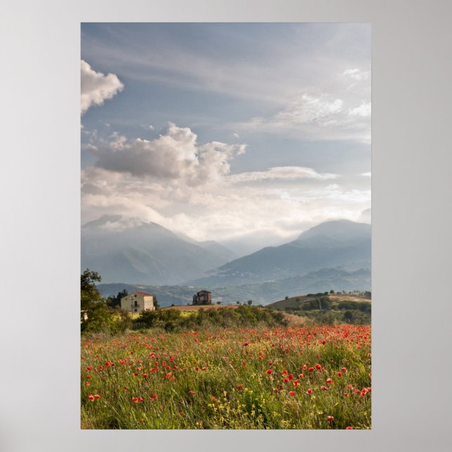 Mohnfelder in Italien Poster (Vorne)