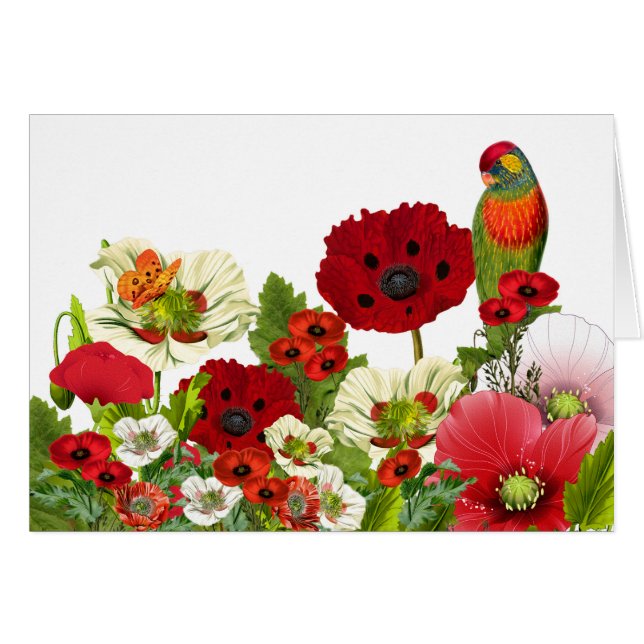 Mohngarten mit Lorikeet-Papagei-Blank (Vorderseite (Horizontal))