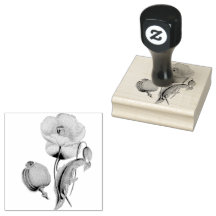 Mohnkapseln Blumen Floral Vintage
