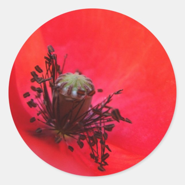 Mohnkleber Runder Aufkleber (Vorderseite)