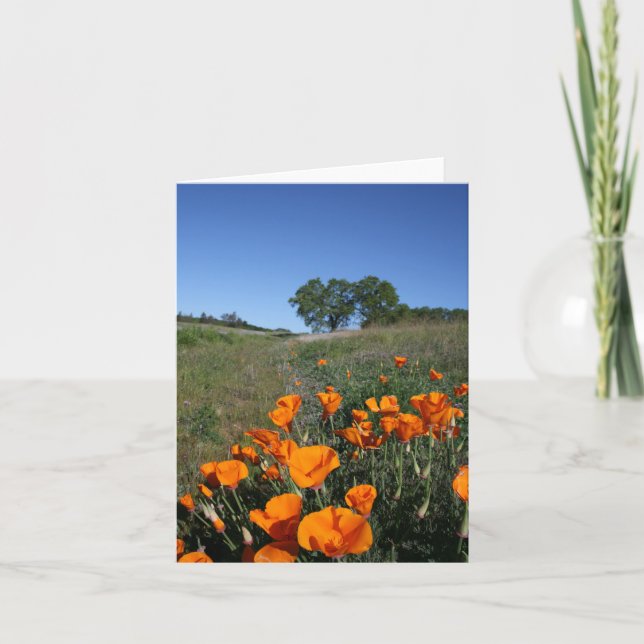 Mohnlandschaft, leere Notizkarte Karte (Vorderseite)