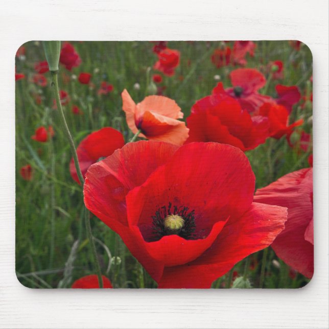 Mohnmat Mousepad (Vorne)