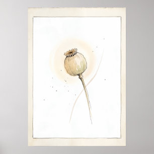 Mohnsamenkopf Loslassende Botanische Wandkunst Poster