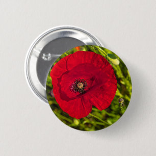 Mohnserie #2 button