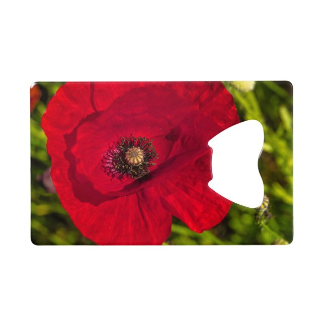 Mohnserie #2 geldbeutel flaschenöffner (Rückseite Horizontal)