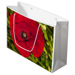 Mohnserie #2 große geschenktüte