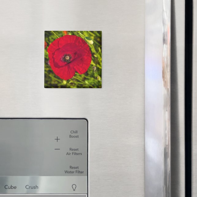 Mohnserie #2 magnet (In Situ (Kühlschrank))