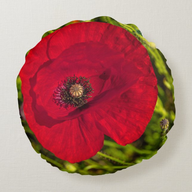Mohnserie #2 rundes kissen (Rückseite)