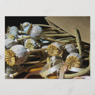 Mohnwürfel, getrocknet, Blume Einladung