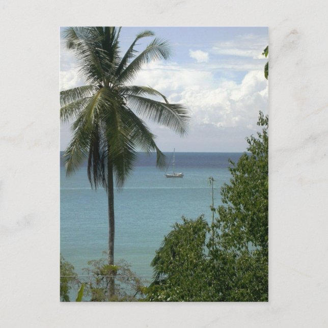 Moira vor Anker, Bahia Drake, Costa Rica Postkarte (Vorderseite)