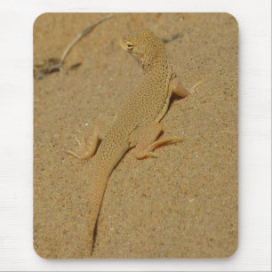 Mojave-Fransenzehen-Echse Mousepad