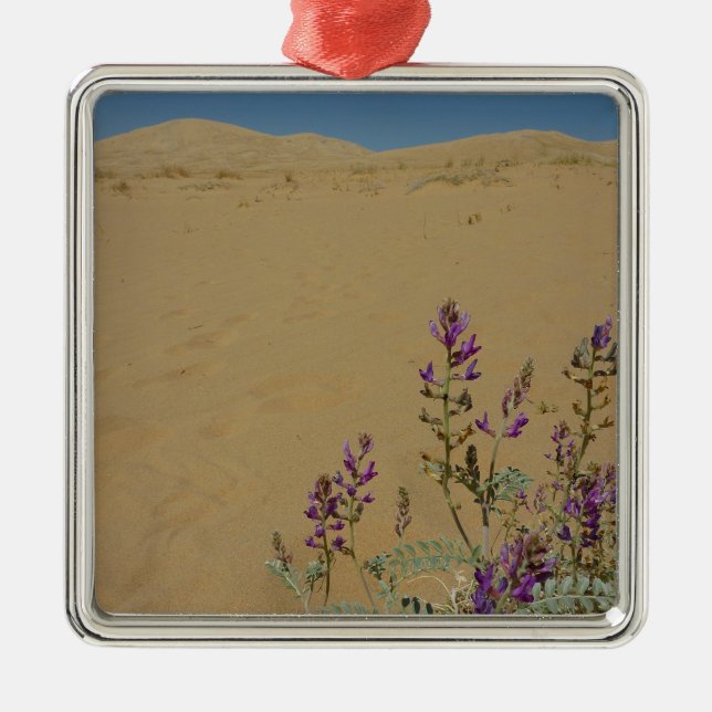 Mojave Indigo Bush und Kelso Dunes Ornament Aus Metall (Vorne)