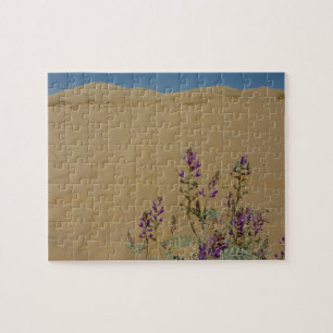 Mojave Indigo Bush und Kelso Dunes Puzzle