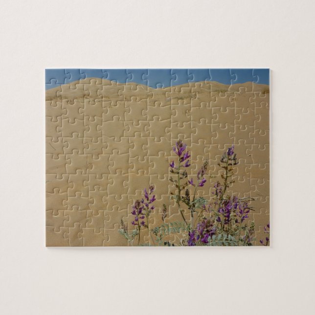 Mojave Indigo Bush und Kelso Dunes Puzzle (Horizontal)