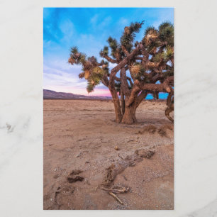 Mojave Joshua Tree
