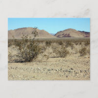 Mojave-Wüstenszene 02
