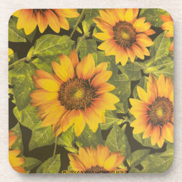 MOJISOLA ADEOLA GBADAMOSI GETRÄNKEUNTERSETZER