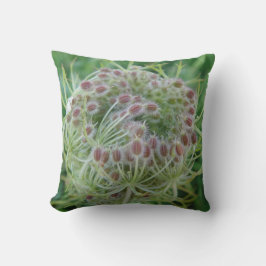 MoJo Dekokissen Fruchtstand wilde Möhre