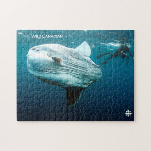 Mola Mola Puzzle