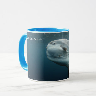 Mola Mola Tasse
