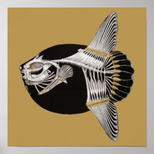 Mola Rotunda Mondfisch Fisch Skelett Kunst Druck Poster