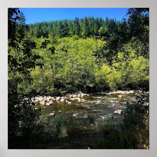 Molalla River, OR Poster (Vorne)