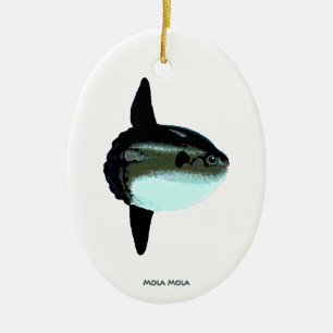 MolaMola Keramikornament