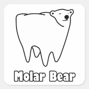 Molar Bear Polar Tooth Bear Quadratischer Aufkleber