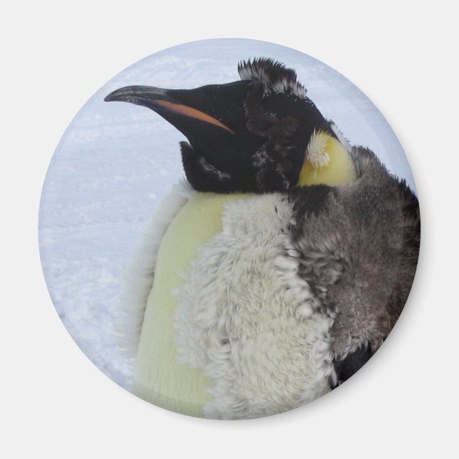 Molding Kaiser Pinguin Magnet (Vorne)