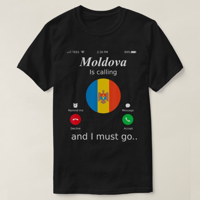 Moldova Is Calling and I Must Go Moldova Flag shir T-Shirt (Design vorne)
