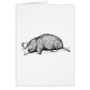 Mole
