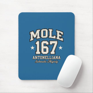 Mole Antonelliana - Sabauda Majesty Vintage Varsit Mousepad