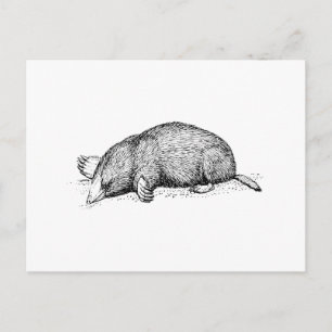 Mole Postkarte