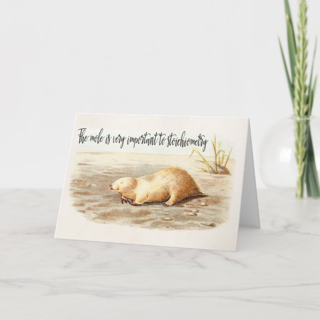 Mole-Stöchiometrie-Chemie-Zitat-Wissenschafts-Spaß Karte (Vorderseite)