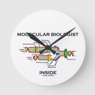 Molecular Biologist Inside (DNA Replication) Runde Wanduhr